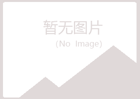 偃师慕青造纸有限公司